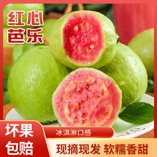 北流市红心芭乐红宝石芭乐番石榴现摘现发红心芭乐一件代发