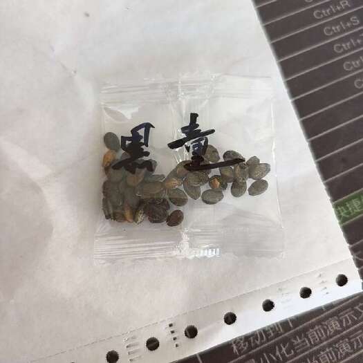 哈尔滨黑童黑皮黄肉西瓜种子约100粒/袋
