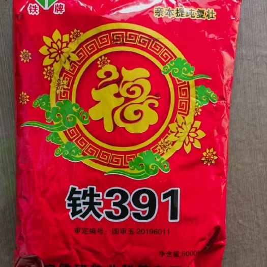 沈阳铁391、铁系大棒品种粮质好抗倒能力强、紫根紫杆根系壮。