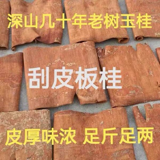 平南县广西精品刮皮板桂，产地直发欢迎选购