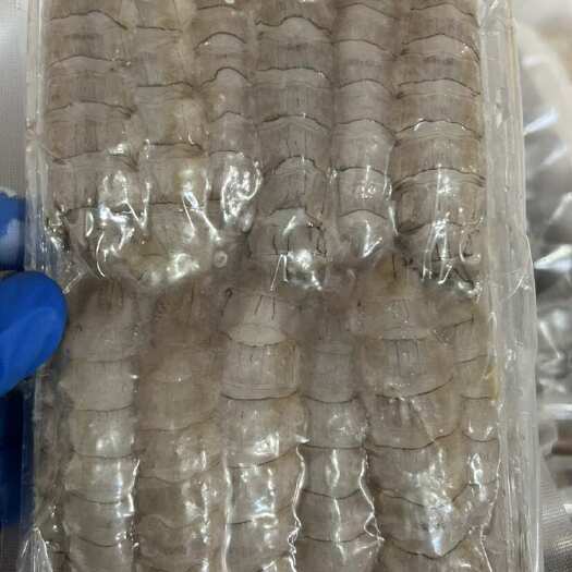 乳山市厂家直供皮皮虾肉，皮皮虾，一手货源，支持全国各地发货