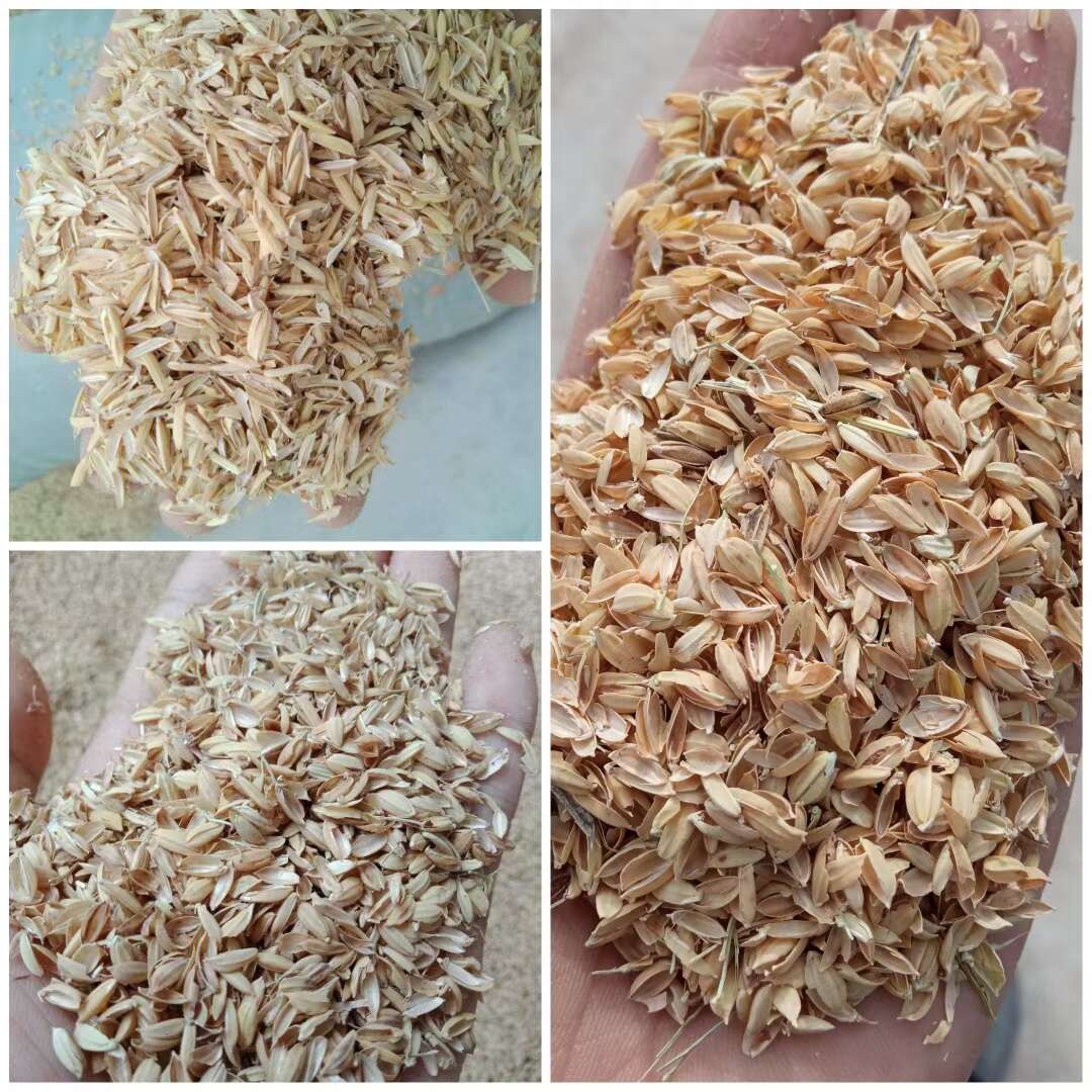 现货批发 新鲜品质散装稻壳 养殖垫料酿酒原料除尘稻壳压缩