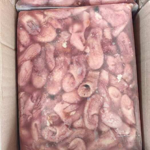 连云港新鲜鱼肚鱼鳔当天现取巴沙鱼肚花胶鱼泡商用批发烧烤火锅食材鲜冻