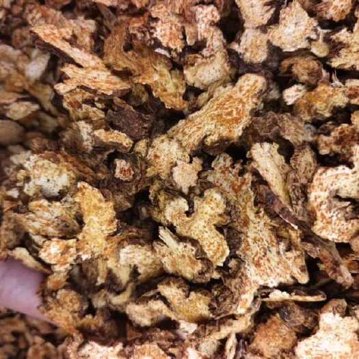 定州市北苍术片高含量朱砂点