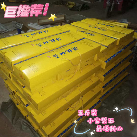 温县正宗河南焦作温县垆土铁棍山药礼盒装（整体带箱5斤）