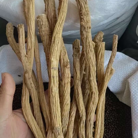 亳州防风掐头去尾，有大货供应