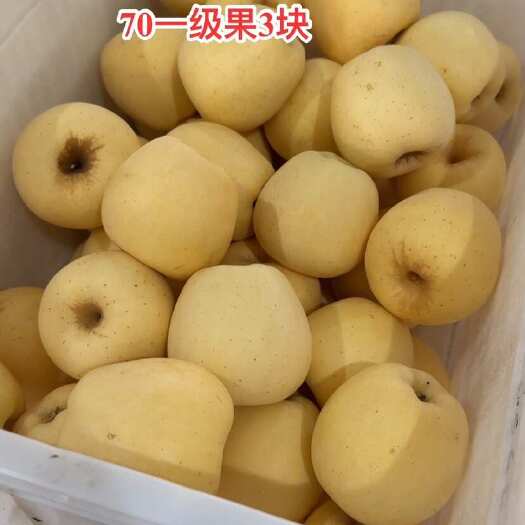诸城市维纳斯苹果产地量大，什么货都有