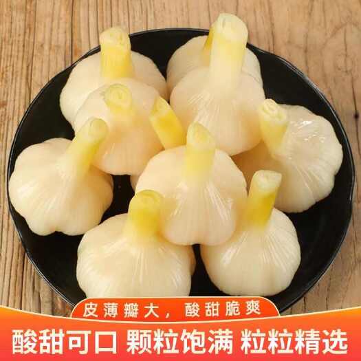 杞县糖醋蒜3-6个月保质期精品酱腌菜开封发货民权发货两地按需分配