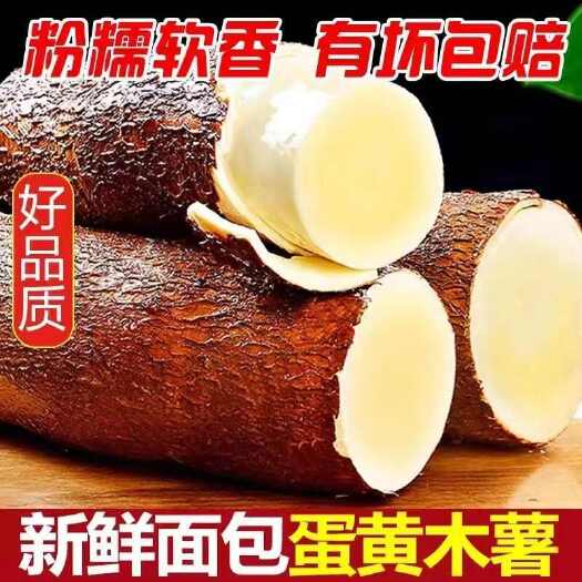 容县【现挖】广西黄心木薯新鲜现挖黄肉木薯羹糖水店鸡蛋板栗木薯包邮