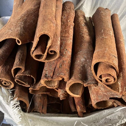 平南县肉桂桂皮，刮皮精品中桶桂皮产地直发