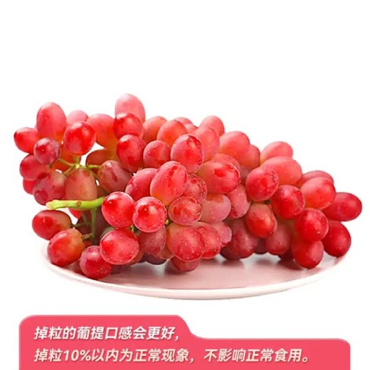 东莞市葡萄