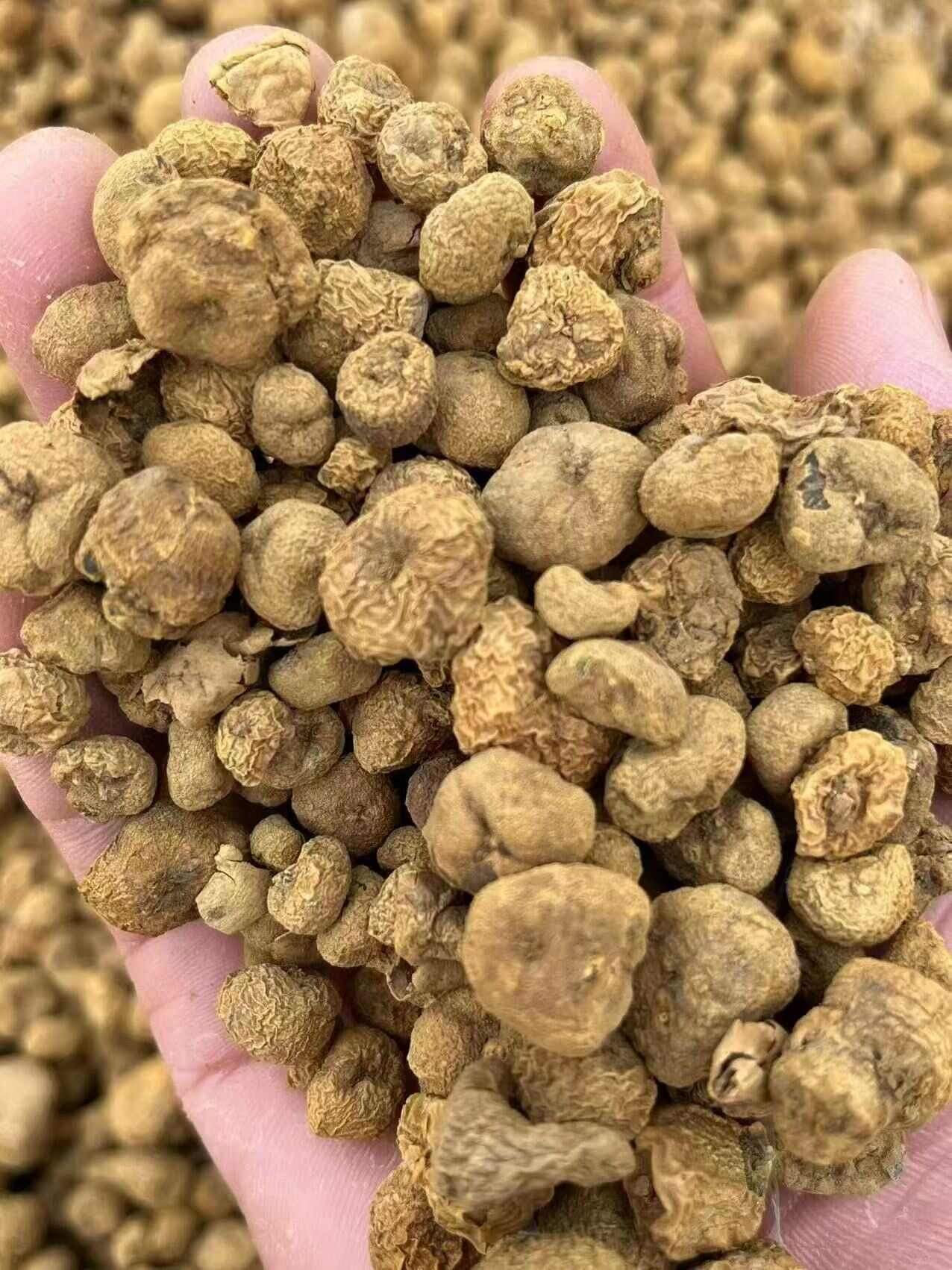 汉中货：大量现货供应元胡、元胡片、天麻片等