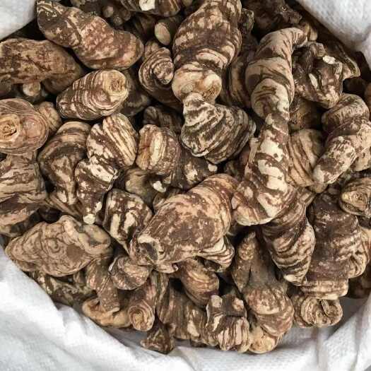 昆明重楼，优质好货，现货秒发，保质保真，量大价优