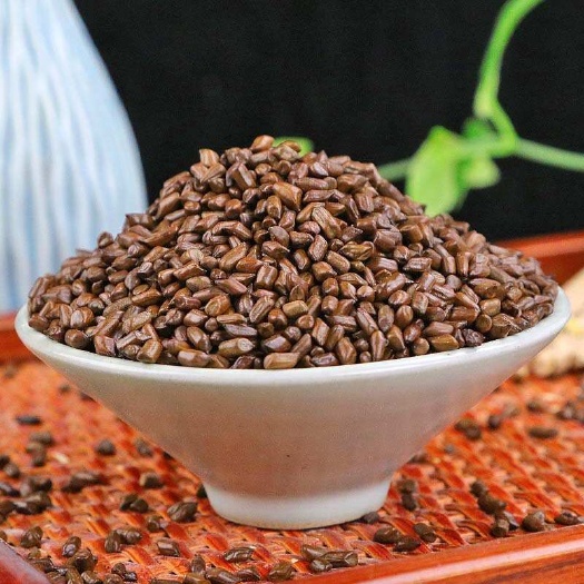 决明子中药材草决明决明子茶决明子批发量大优惠