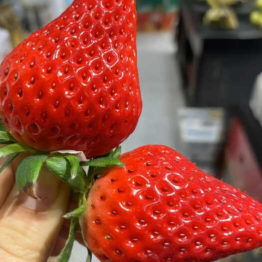 草莓批发