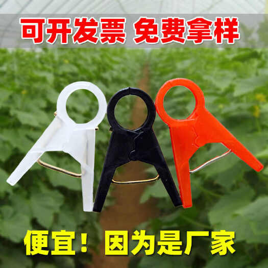 无棣县吊秧夹 黄瓜西红柿西葫芦大棚夹子夹膜加厚柿子辣椒吊蔓夹子