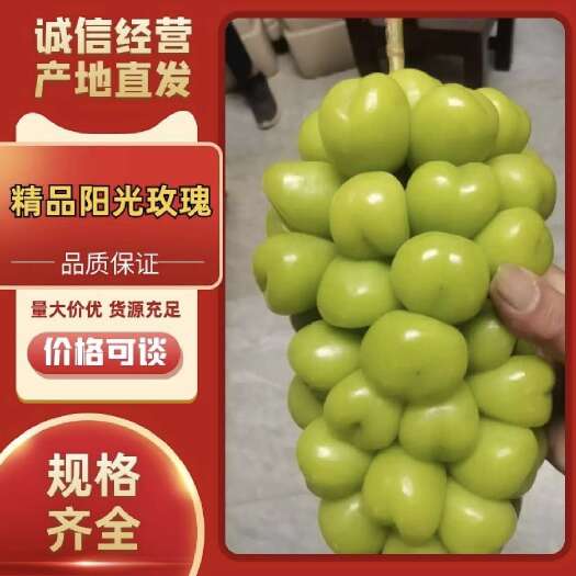 夏邑县阳光玫瑰葡萄大量现货供应，质量好价格不高，需要的联系我，