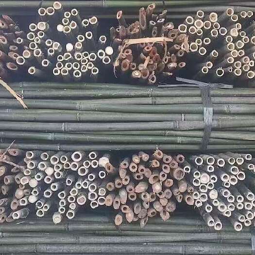 菜架竹 竹竿 豆角架