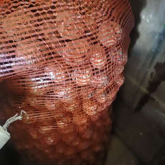 景东县云南普洱这边的核桃，山里的核桃品质好，不打药