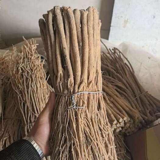 陇西县黄芪个子