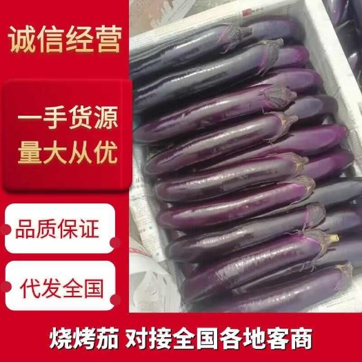 烧烤茄长茄