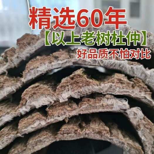杜仲去粗皮批发正品厚皮老树泡酒泡茶煲汤中药中药材