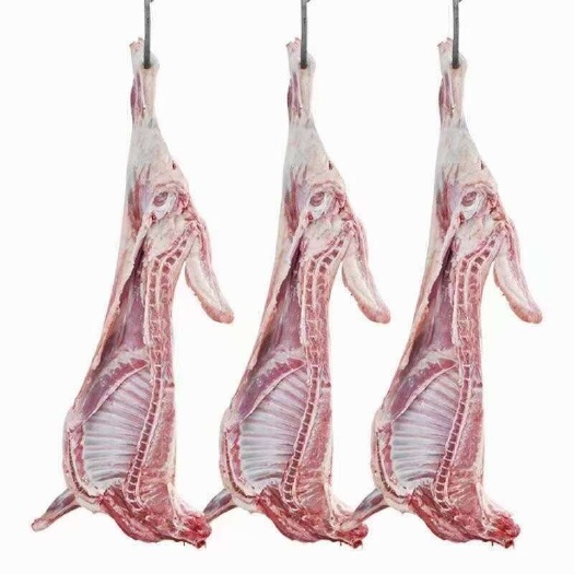 武威甘肃羊肉