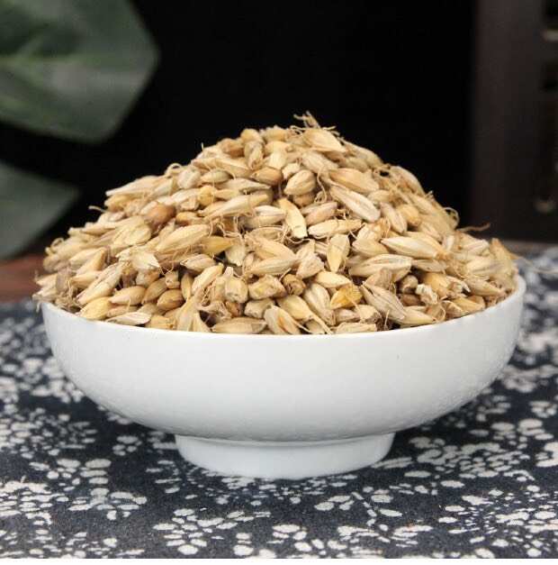 大麦芽中药材麦芽无硫麦芽催奶炒麦芽熟麦芽