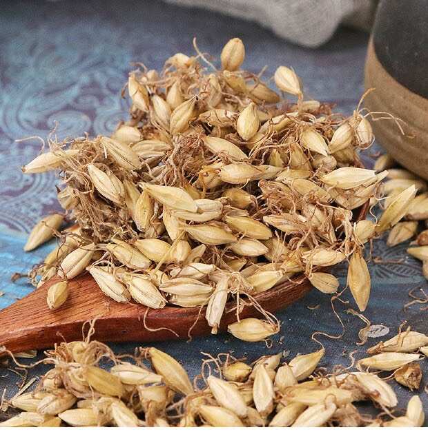 大麦芽中药材麦芽无硫麦芽催奶炒麦芽熟麦芽