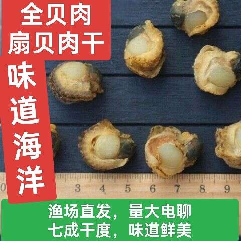 日照扇贝肉干全贝扇贝柱海鲜干货散装批发新鲜煲粥汤饭店酒店食材