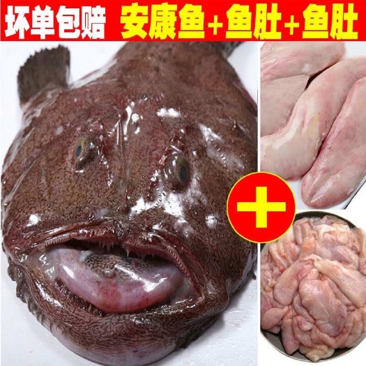 新鲜鲜活安康鱼冷冻整条鱼肚灯笼鱼大嘴蛤蟆内脏保留鱼肝海鲜海捕