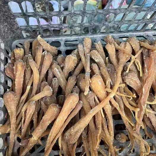 云南大理干货萝卜参补佳品 快速发货