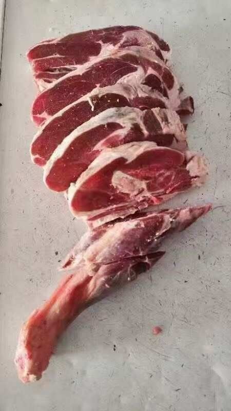 敦煌市羊腿