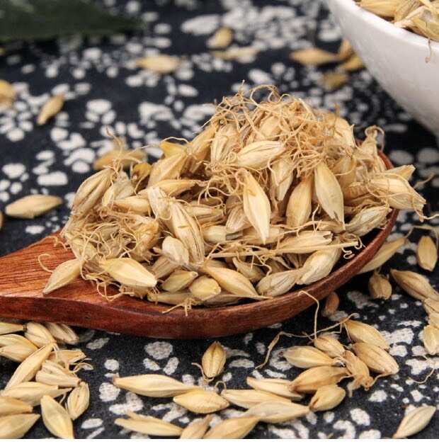 大麦芽中药材麦芽无硫麦芽催奶炒麦芽熟麦芽