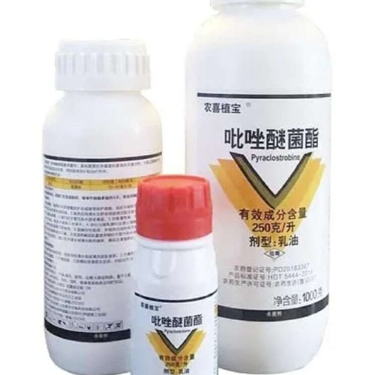 寿光市25%吡唑醚菌酯乳油防丝瓜黄瓜菜瓜莴苣白粉病霜霉病疫病杀菌剂