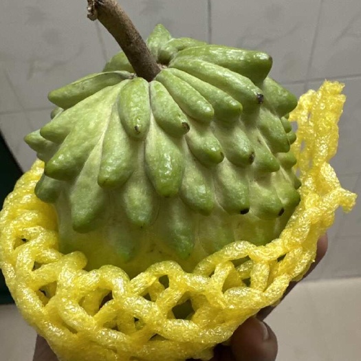 南宁优质果，货源充足
