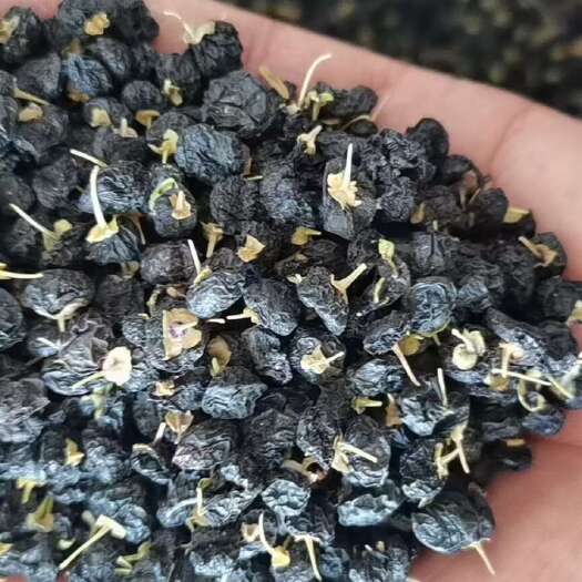 西宁青黑黑枸杞黑枸杞250g瓶装 批发青海头茬大果新鲜黑枸杞