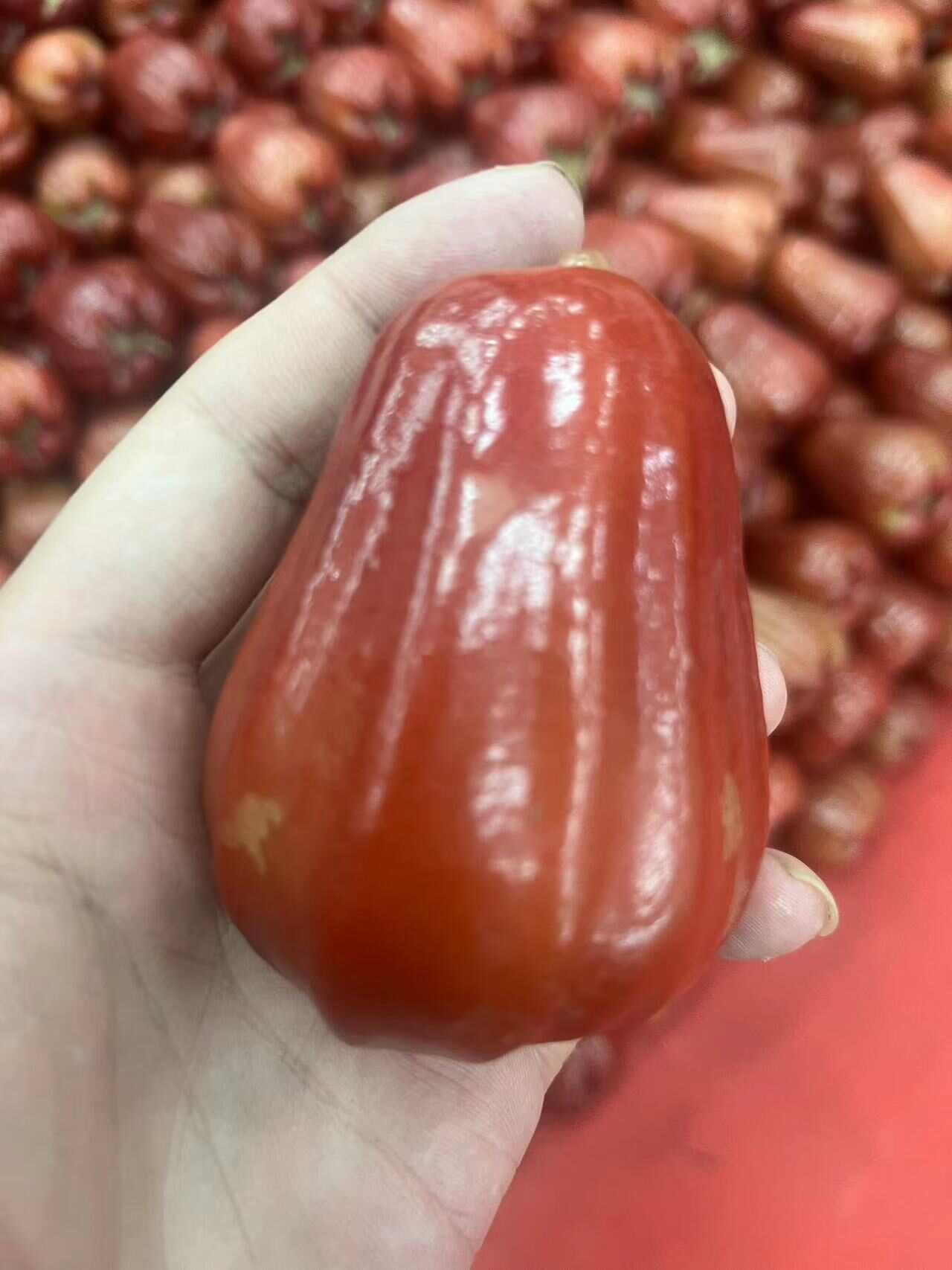 海南黑金刚莲雾