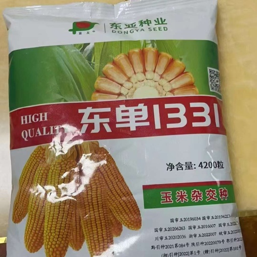 国审东单1331，抗病能力强，耐高温，耐密性极强，抗锈病