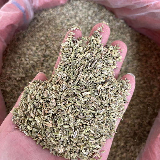 玉林小茴香香料