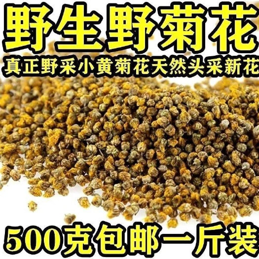秦岭野菊花农家自然晾晒无硫熏野菊花