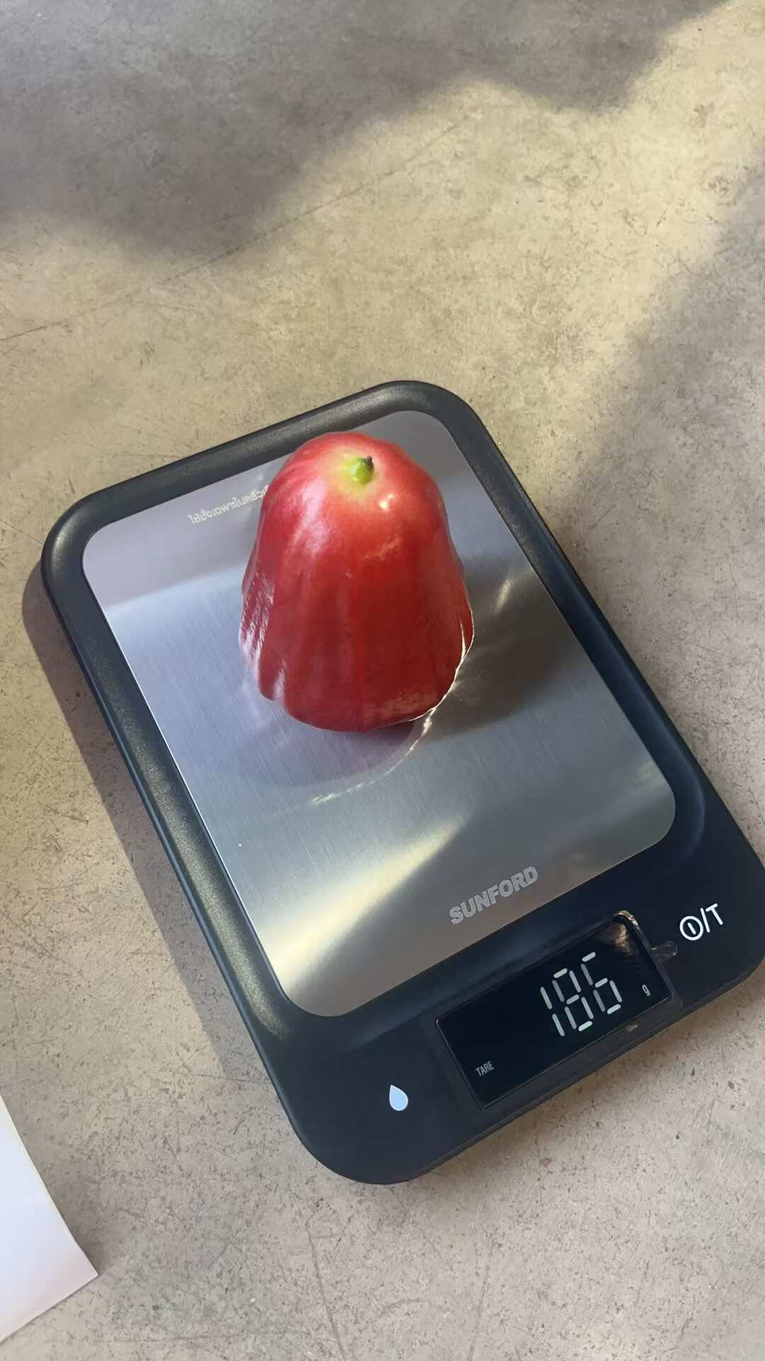 海南黑金刚莲雾