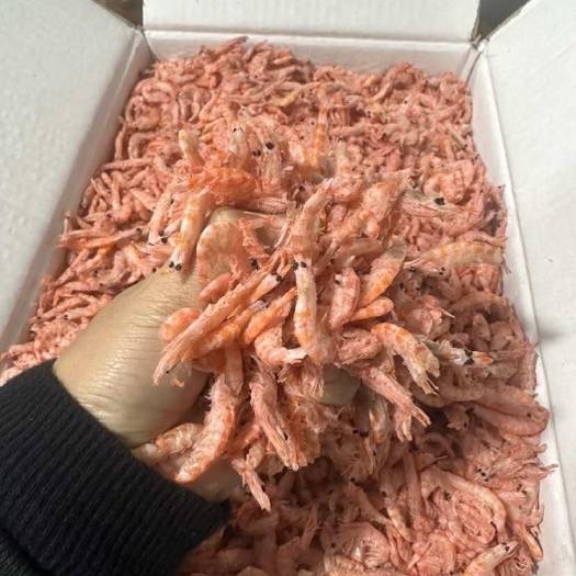 滨州南极磷虾新鲜到货 优质蛋白海鲜选择