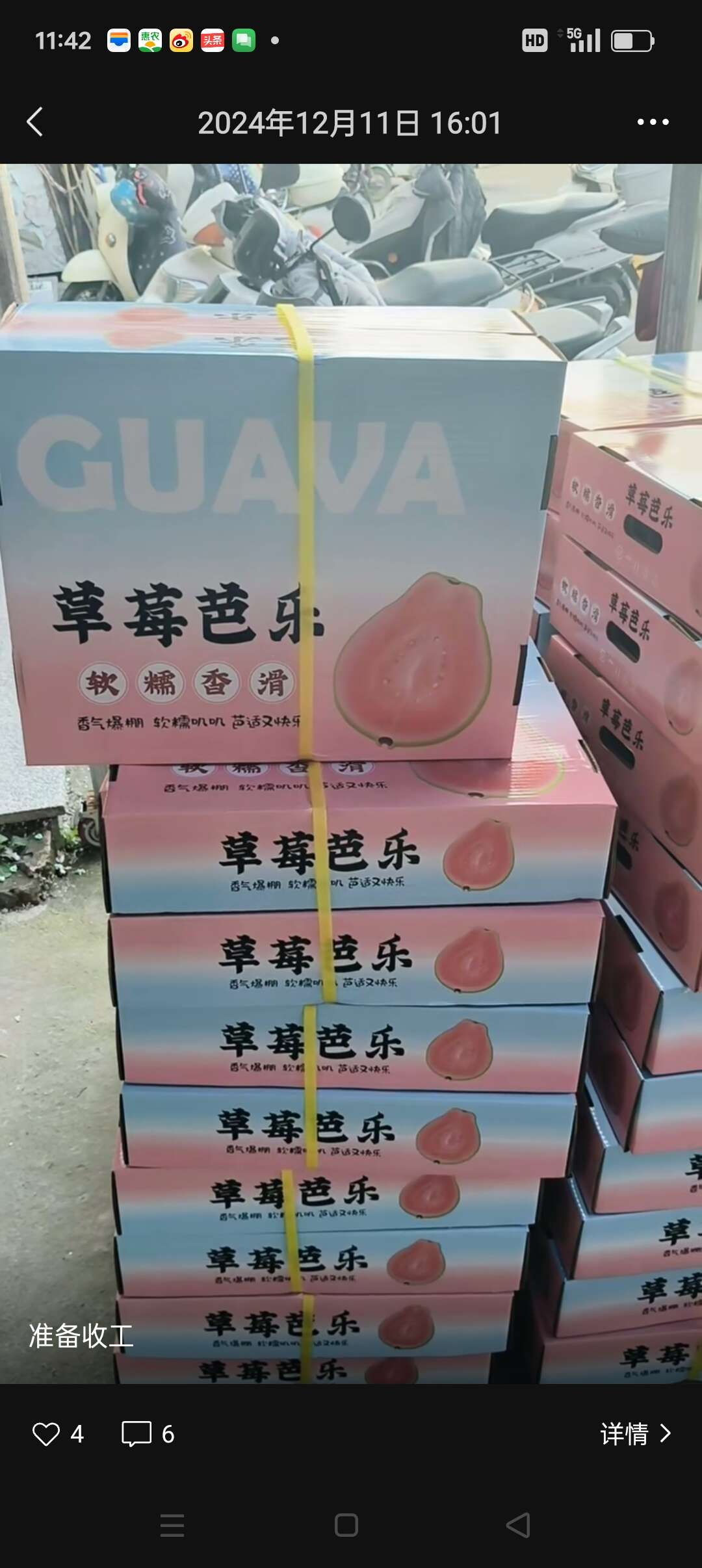 福建漳州产地直发红心芭乐白心芭乐番石榴批发