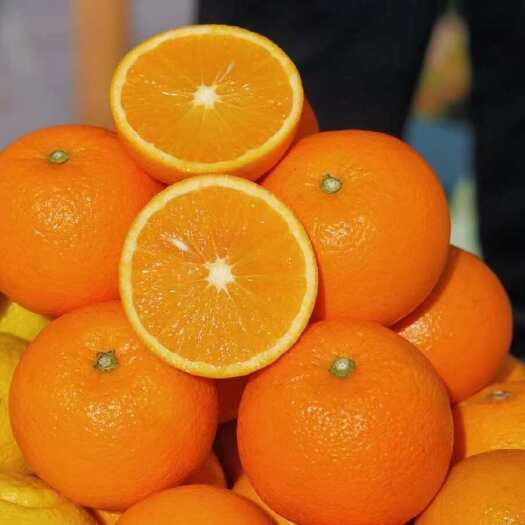 麻阳县麻阳冰糖橙