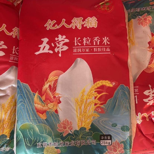 三河市东北那边的稻田好像开了花一样美啊～风一吹过来就是满满的稻香味