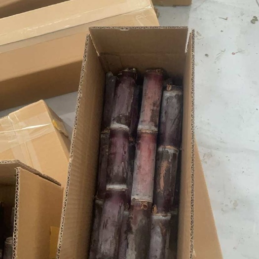 贵州紫皮甘蔗新鲜直发 汁多味甜支持代发，对接各平台电商 批发