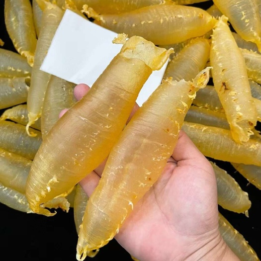 南澳县24头湛江赤嘴筒湛江赤嘴是值得收的名贵赤嘴榜首，几代鱼胶人