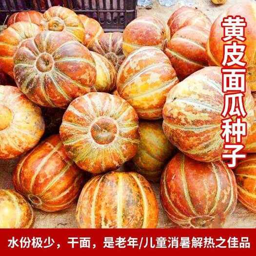 邵东市甜瓜种籽香黄皮面瓜种子早熟糯粉干面味浓郁红壤水分少春秋季蔬菜