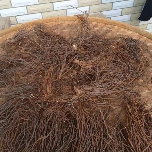 衡山县湖南衡阳威灵仙